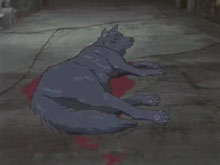 Geez...I hate it when I'm in heat.